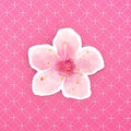 Pink Cherry Blossom Die-cut Sticker