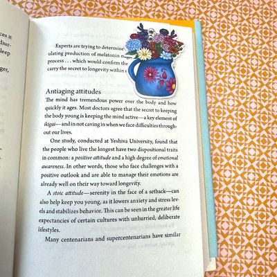 Ollita de Flores (Flowers in a Mexican Clay Mug) Magnetic Bookmark